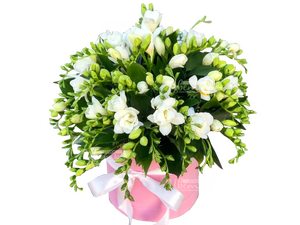 Снега